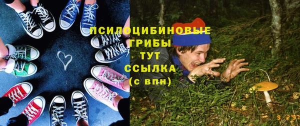 spice Бугульма